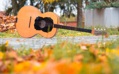 INSTRUMENT MJESECA: TAMBURA